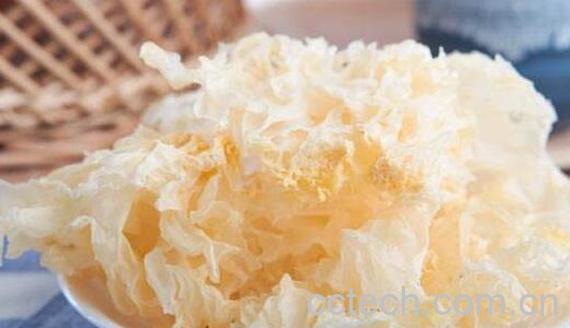 白木耳和银耳的区别 吃白木耳的好处-0