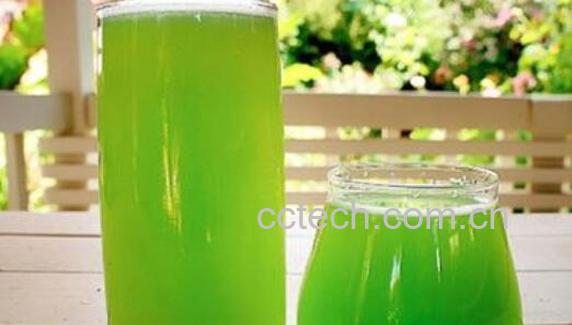 苦瓜水的功效与作用有哪些-1