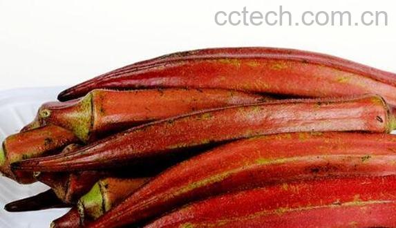 红色秋葵的做法及功效-0