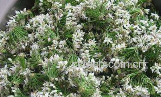 韭菜花的功效与作用 吃韭菜花的好处-0