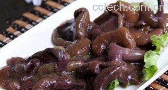 红乳牛肝菌的功效与作用 红乳肝菌的食用方法-1