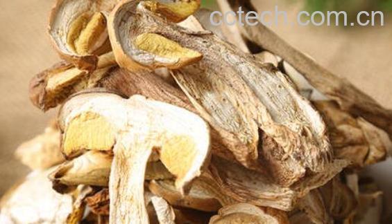 干牛肝菌的功效与作用-0