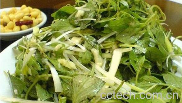 金菜的功效和作用-1