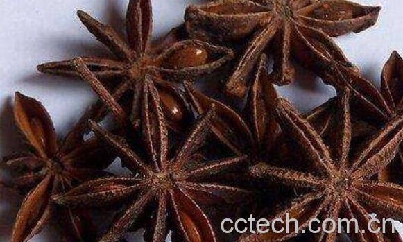八角和假八角的区别 八角的功效与作用-0