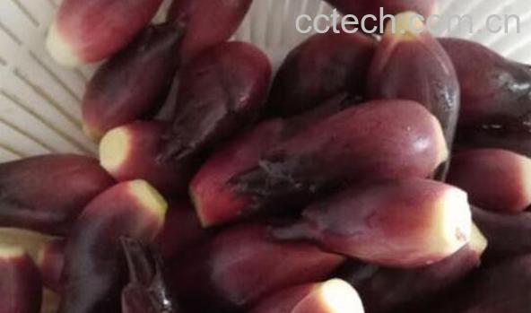 洋荷姜怎么腌制才好吃 洋荷姜的腌制方法-0