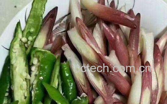 洋荷姜怎么腌制才好吃 洋荷姜的腌制方法-1