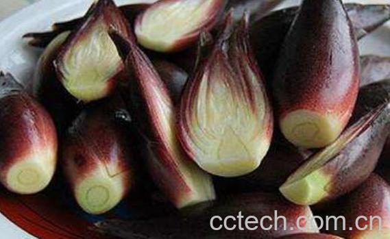 洋荷姜什么人不能吃 洋荷姜的副作用与禁忌-0