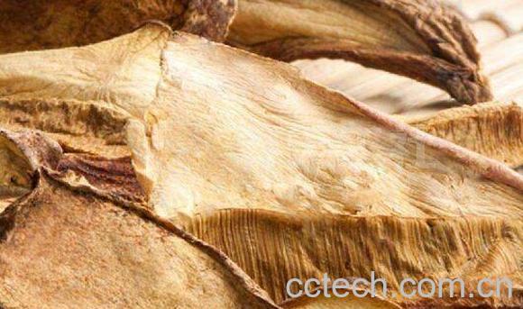 干牛肝菌怎么吃 干牛肝菌的食用方法-0