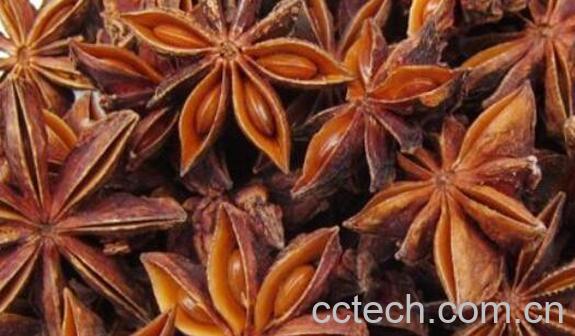 八角茴香怎么吃 八角茴香的食用方法-0