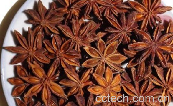 八角茴香怎么吃 八角茴香的食用方法-1