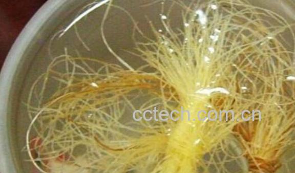 玉米须泡水的副作用有哪些 什么人不宜喝玉米须水-0