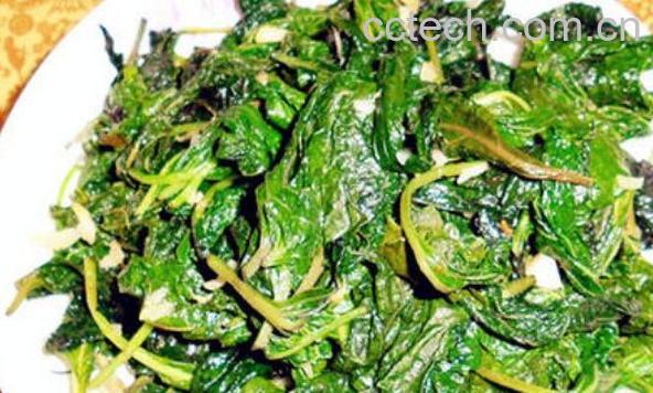 苏子菜怎么做好吃-0