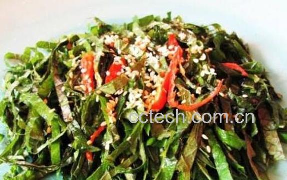 苏子菜怎么做好吃-1