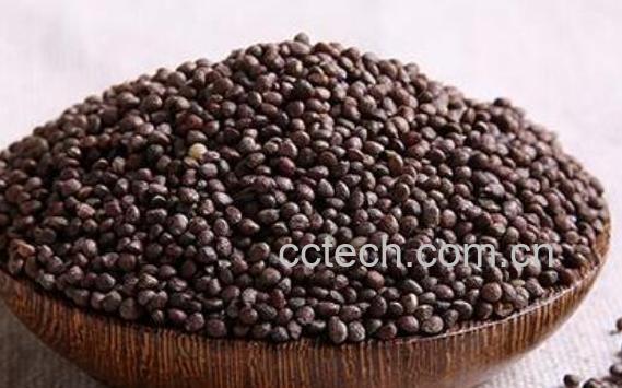 苏子面怎么做好吃-1