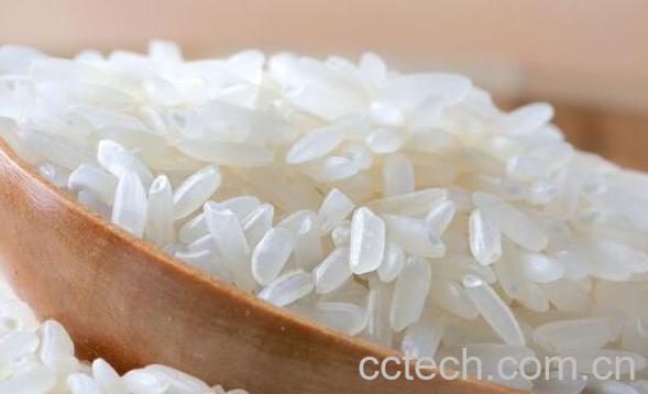 糙米和大米的区别 吃糙米的好处-1