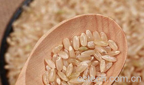 有机糙米怎么做好吃 有机糙米的食用方法大全-1