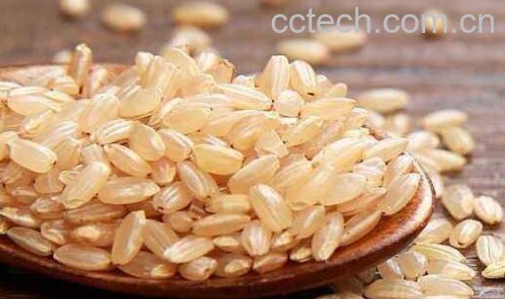 有机糙米的功效与作用 吃有机糙米的好处-1