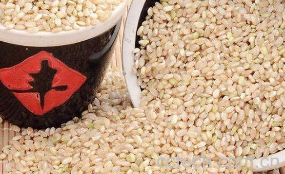 有机糙米的功效与作用 吃有机糙米的好处-0