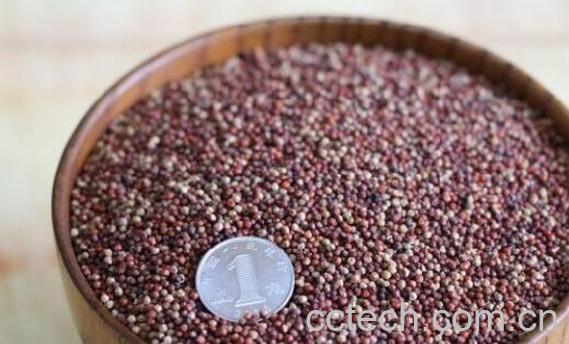 糁子粉怎么做好吃 糁子粉的食用方法-1