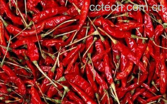 吃辣椒的好处与坏处-1