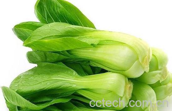 小油菜和青菜的区别 吃青菜的好处-0