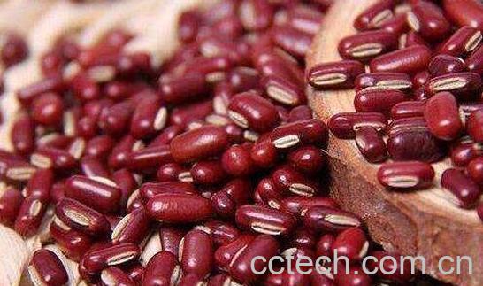 赤小豆和红豆的区别 赤小豆的功效-0