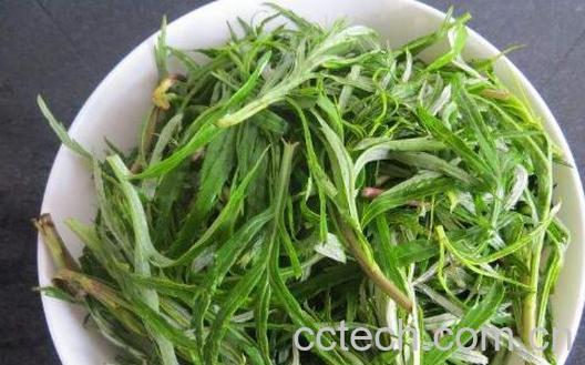 柳蒿芽的作用与功效 柳蒿芽的副作用-0