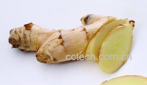 火烧姜的功效与作用-1