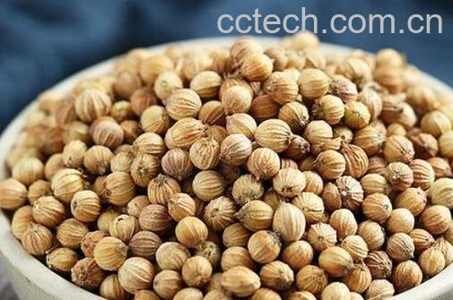 芜荽子怎样食用 芫荽籽怎么吃-1