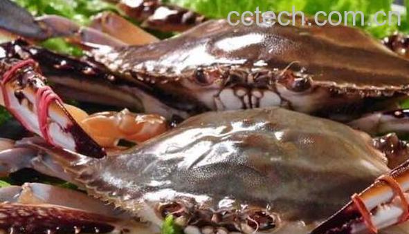 蒸螃蟹需要多长时间 清蒸大螃蟹的家常做法教程-0