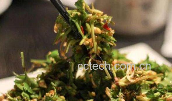 马蹄叶怎么吃 马蹄叶的吃法大全-0