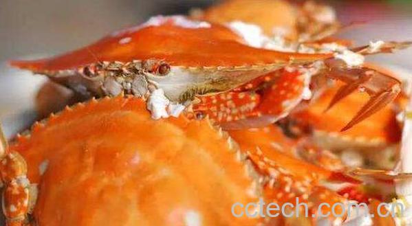蒸螃蟹需要多长时间 清蒸大螃蟹的家常做法教程-1