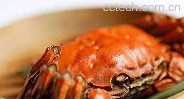 螃蟹不能和什么一起吃 吃螃蟹不能吃什么食物-1