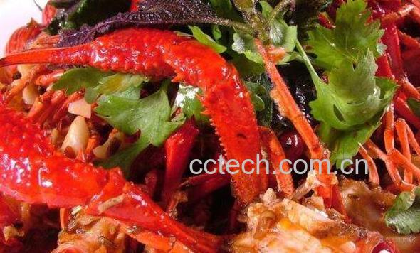 口味虾是哪个地方的菜 口味虾的家常做法教程-0