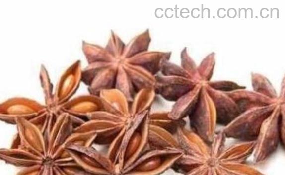 八角油的药用价值 八角油的用途-0