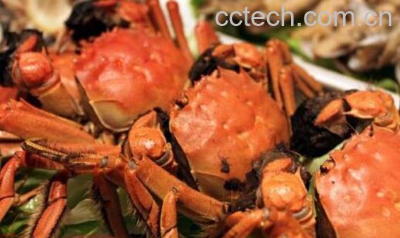 螃蟹怎么吃 螃蟹怎么做好吃-1