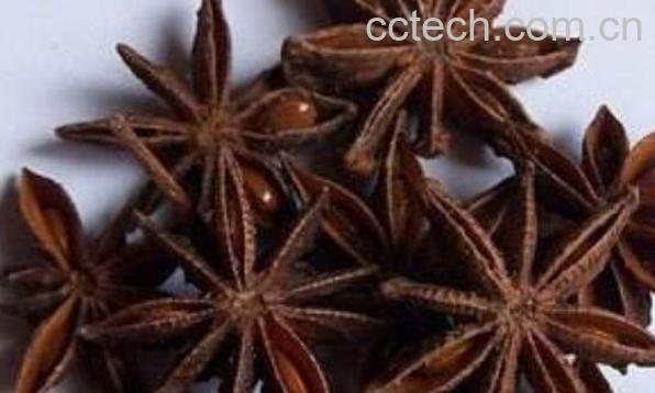 八角外用的功效与作用-0