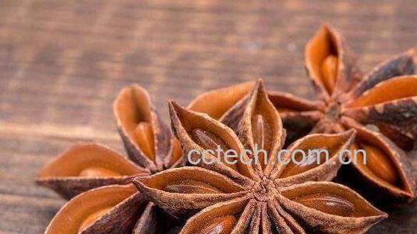 八角炒盐的作用及禁忌-0