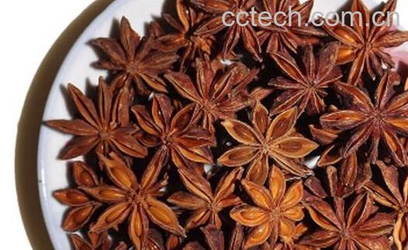 八角炒盐的作用及禁忌-1