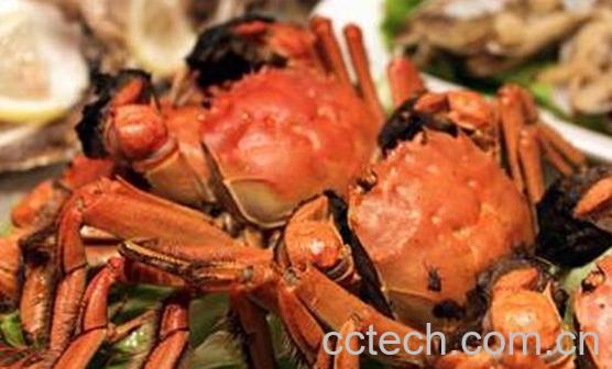 螃蟹怎么做 螃蟹的家常做法教程-0