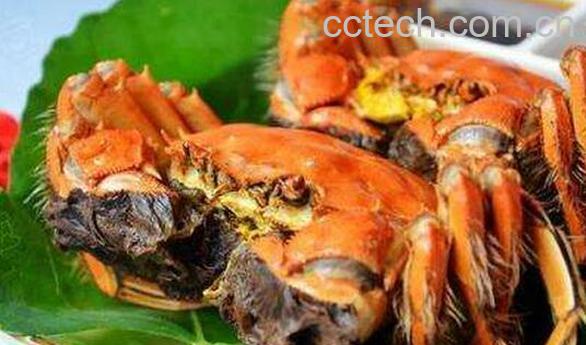 螃蟹怎么做 螃蟹的家常做法教程-1