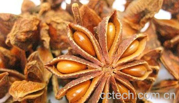 八角的功效与作用及食用方法-1