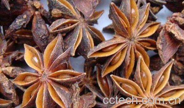 八角的功效与作用及食用方法-0