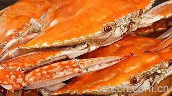 螃蟹怎么洗 螃蟹的清洗方法技巧教程-0