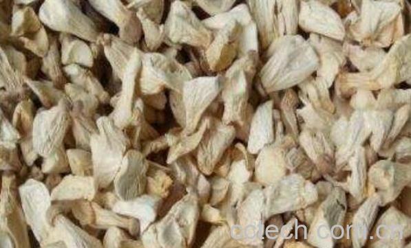 干白灵菇的功效与作用-1