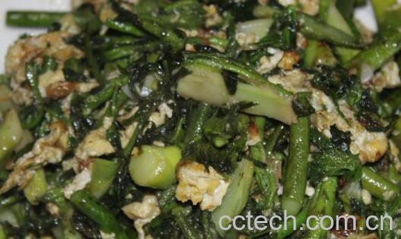 苦乐芽怎么做 苦乐芽的食用方法-1