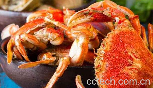 吃完螃蟹不能吃什么 吃螃蟹的禁忌-0
