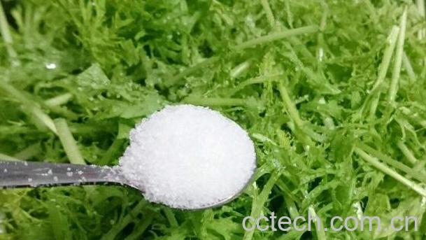 银丝菜的功效与作用-1