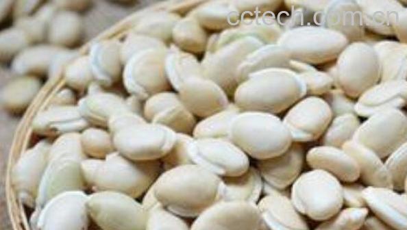 白扁豆的功效与作用 白扁豆怎么吃好-0