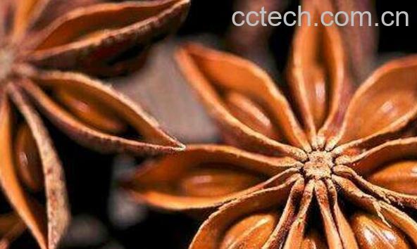 八角煮水的功效与作用及禁忌-0